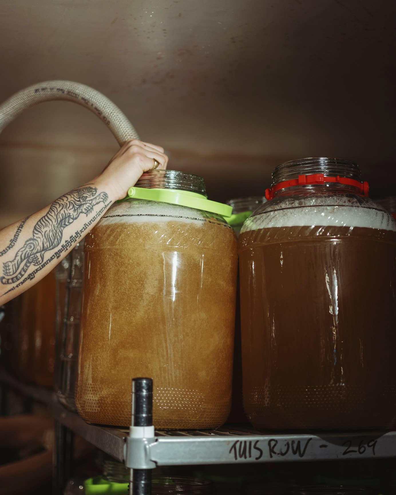 Organic Elderflower Kombucha